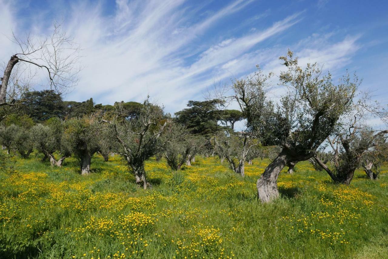 Villa Cavalletti Grottaferrata Εξωτερικό φωτογραφία