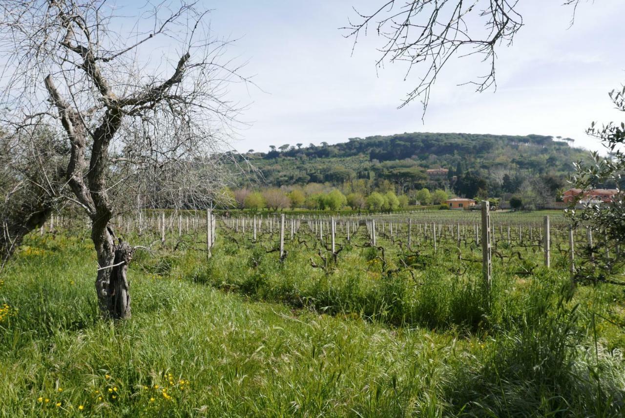 Villa Cavalletti Grottaferrata Εξωτερικό φωτογραφία